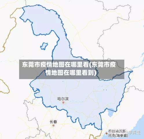 东莞市疫情地图在哪里看(东莞市疫情地图在哪里看到)-第1张图片