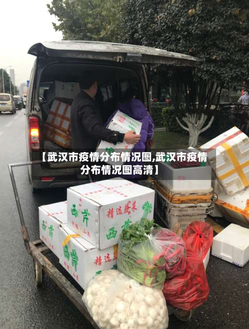 【武汉市疫情分布情况图,武汉市疫情分布情况图高清】-第2张图片