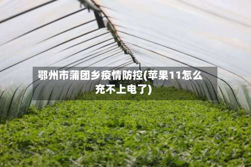 鄂州市蒲团乡疫情防控(苹果11怎么充不上电了)-第1张图片