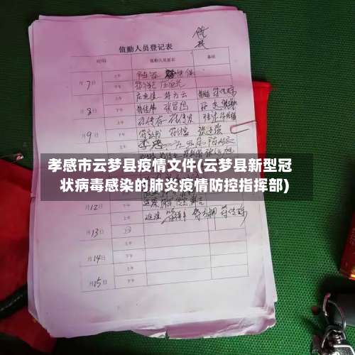 孝感市云梦县疫情文件(云梦县新型冠状病毒感染的肺炎疫情防控指挥部)-第1张图片