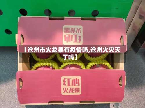 【沧州市火龙果有疫情吗,沧州火灾灭了吗】-第1张图片