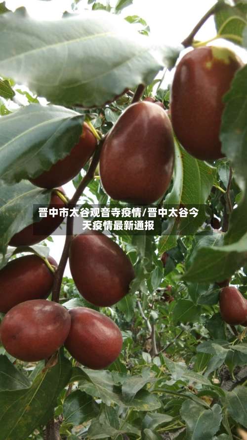 晋中市太谷观音寺疫情/晋中太谷今天疫情最新通报-第2张图片