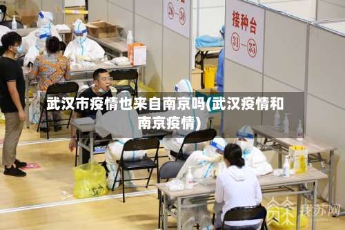 武汉市疫情也来自南京吗(武汉疫情和南京疫情)-第1张图片