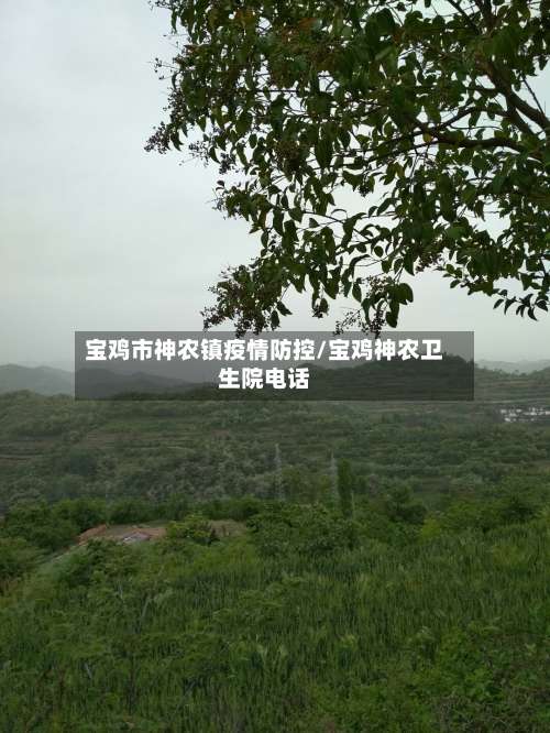 宝鸡市神农镇疫情防控/宝鸡神农卫生院电话-第3张图片