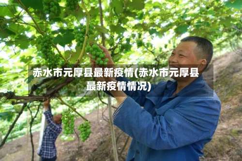 赤水市元厚县最新疫情(赤水市元厚县最新疫情情况)-第3张图片