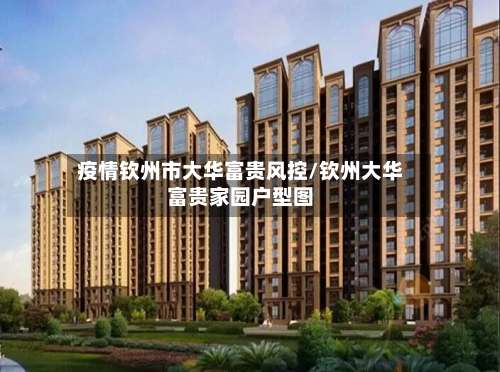 疫情钦州市大华富贵风控/钦州大华富贵家园户型图-第1张图片