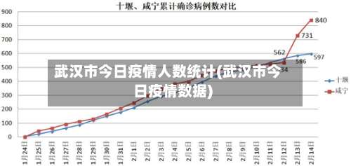 武汉市今日疫情人数统计(武汉市今日疫情数据)-第1张图片