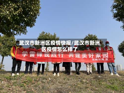 武汉市新洲区疫情快报/武汉市新洲区疫情怎么样了-第1张图片