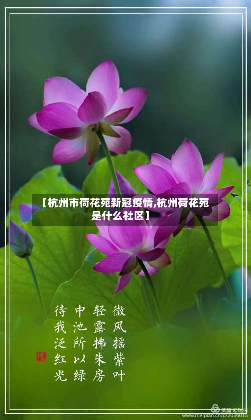 【杭州市荷花苑新冠疫情,杭州荷花苑是什么社区】-第1张图片