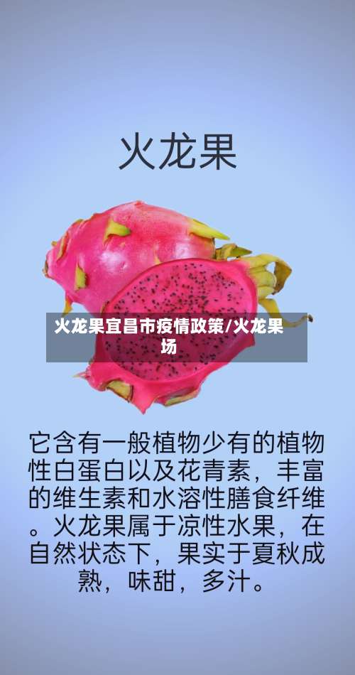 火龙果宜昌市疫情政策/火龙果场-第1张图片
