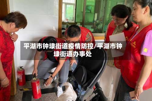 平湖市钟埭街道疫情防控/平湖市钟埭街道办事处-第1张图片