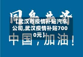 【武汉市疫情补贴汽车公司,武汉疫情补贴7000元】-第1张图片