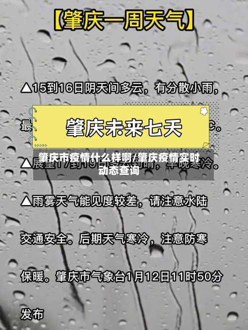 肇庆市疫情什么样啊/肇庆疫情实时动态查询-第1张图片
