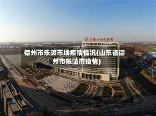 德州市乐陵市场疫情情况(山东省德州市乐陵市疫情)-第1张图片
