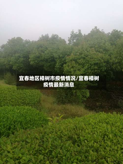 宜春地区樟树市疫情情况/宜春樟树疫情最新消息-第1张图片