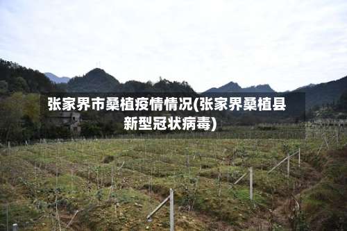 张家界市桑植疫情情况(张家界桑植县新型冠状病毒)-第1张图片