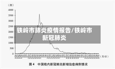 铁岭市肺炎疫情报告/铁岭市新冠肺炎-第2张图片
