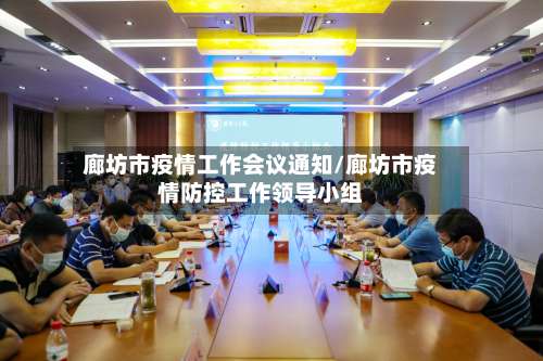 廊坊市疫情工作会议通知/廊坊市疫情防控工作领导小组-第1张图片