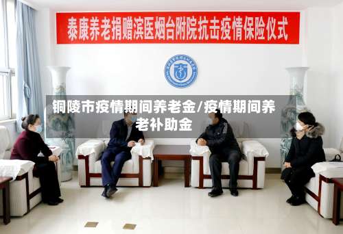 铜陵市疫情期间养老金/疫情期间养老补助金-第3张图片