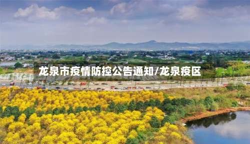 龙泉市疫情防控公告通知/龙泉疫区-第3张图片