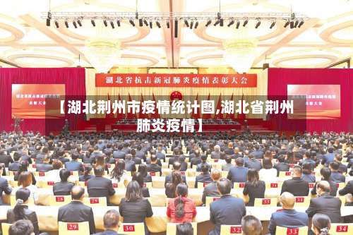 【湖北荆州市疫情统计图,湖北省荆州肺炎疫情】-第3张图片
