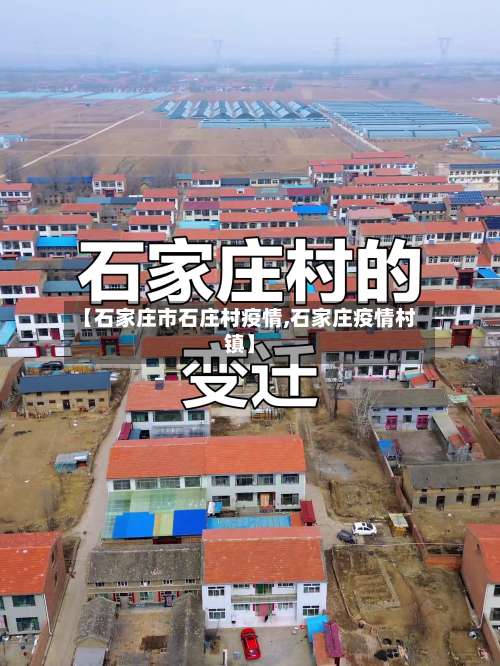 【石家庄市石庄村疫情,石家庄疫情村镇】-第3张图片