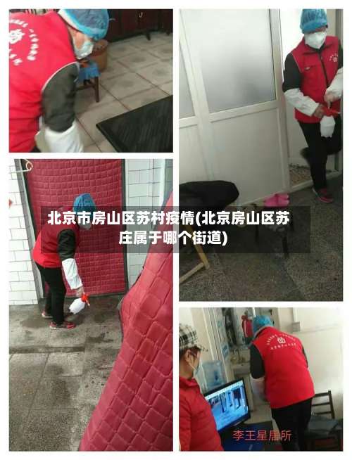 北京市房山区苏村疫情(北京房山区苏庄属于哪个街道)-第1张图片