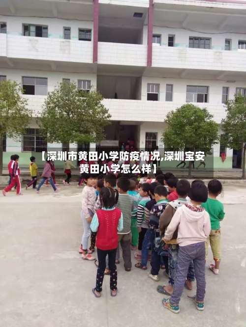 【深圳市黄田小学防疫情况,深圳宝安黄田小学怎么样】-第2张图片