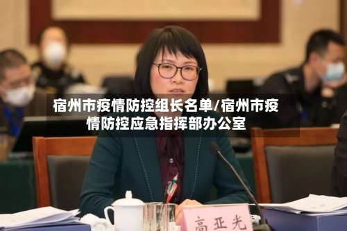 宿州市疫情防控组长名单/宿州市疫情防控应急指挥部办公室-第1张图片