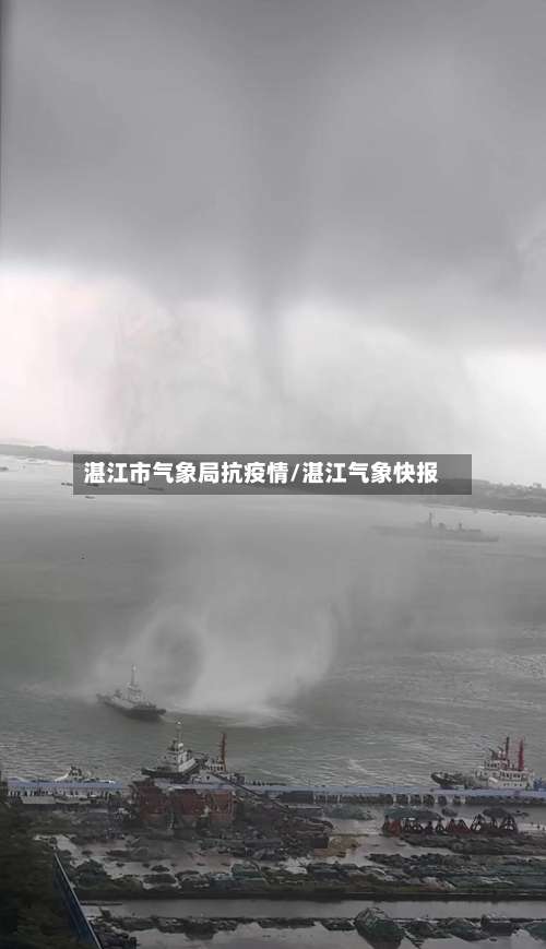 湛江市气象局抗疫情/湛江气象快报-第1张图片