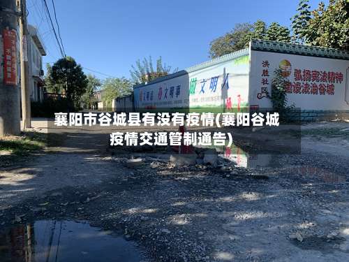 襄阳市谷城县有没有疫情(襄阳谷城疫情交通管制通告)-第1张图片