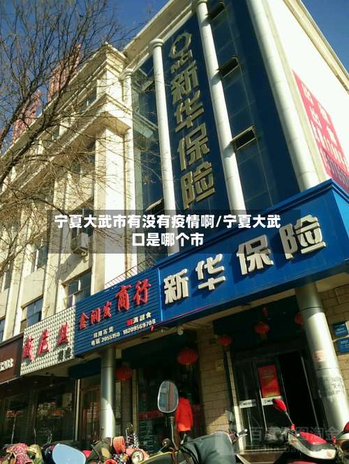 宁夏大武市有没有疫情啊/宁夏大武口是哪个市-第3张图片