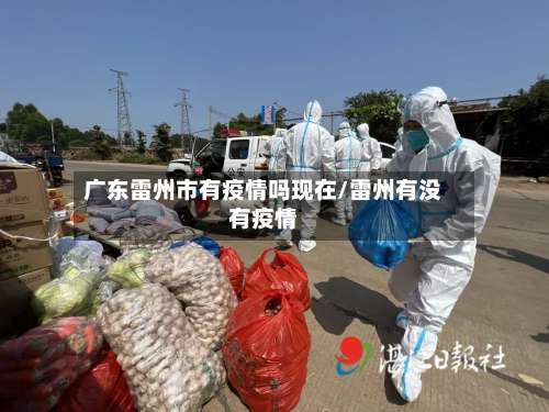 广东雷州市有疫情吗现在/雷州有没有疫情-第1张图片