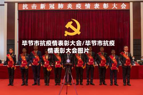 毕节市抗疫情表彰大会/毕节市抗疫情表彰大会图片-第1张图片