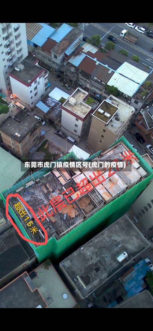 东莞市虎门镇疫情区号(虎门的疫情)-第2张图片