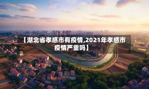 【湖北省孝感市有疫情,2021年孝感市疫情严重吗】-第1张图片
