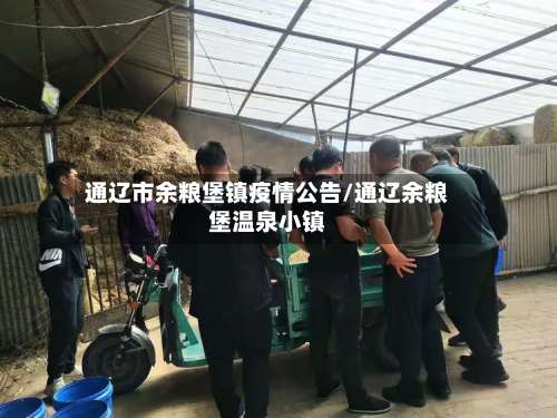 通辽市余粮堡镇疫情公告/通辽余粮堡温泉小镇-第3张图片