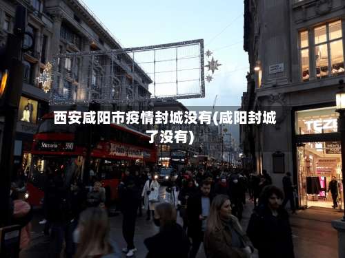 西安咸阳市疫情封城没有(咸阳封城了没有)-第2张图片