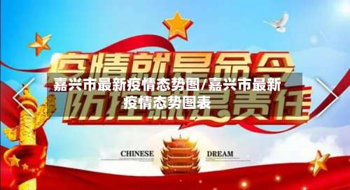 嘉兴市最新疫情态势图/嘉兴市最新疫情态势图表-第3张图片