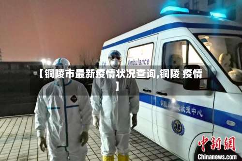 【铜陵市最新疫情状况查询,铜陵 疫情】-第2张图片