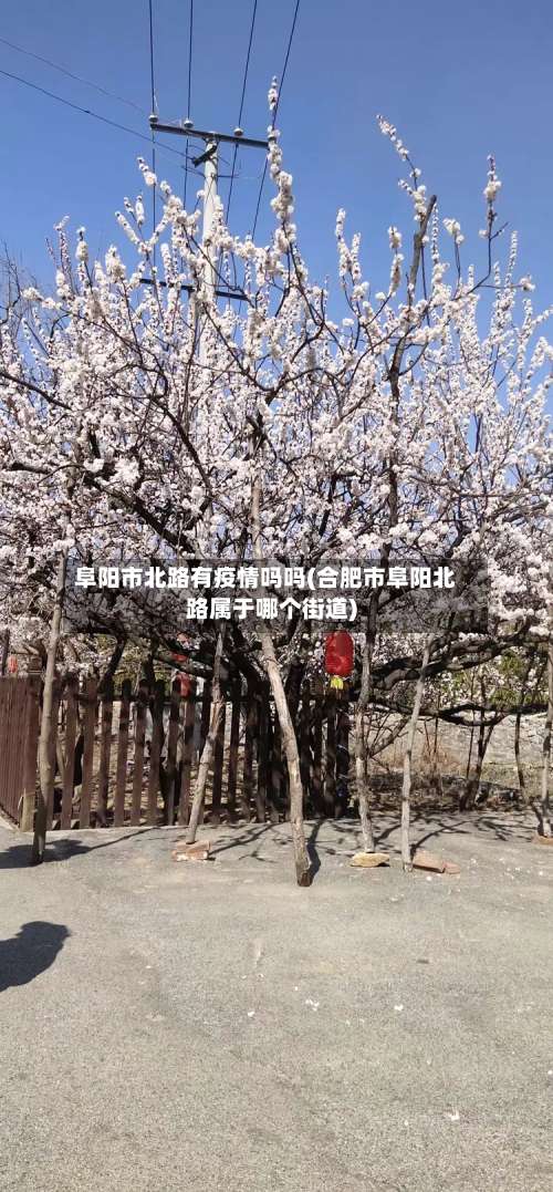 阜阳市北路有疫情吗吗(合肥市阜阳北路属于哪个街道)-第1张图片