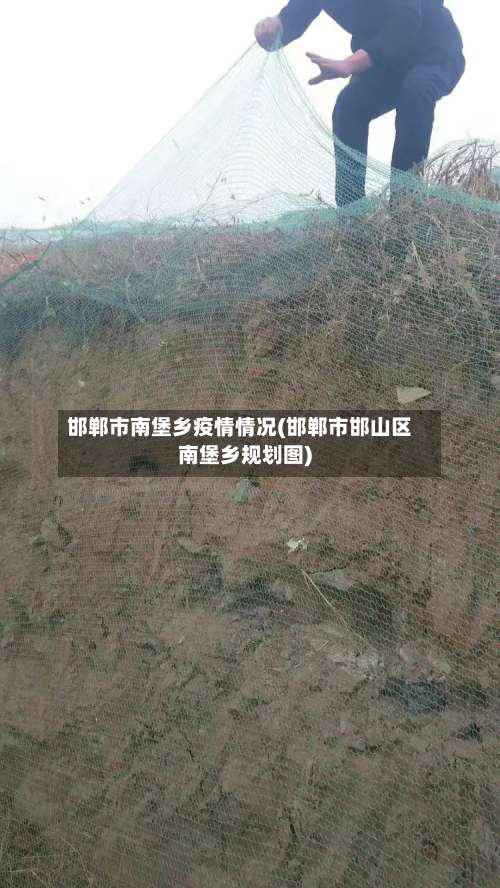 邯郸市南堡乡疫情情况(邯郸市邯山区南堡乡规划图)-第1张图片