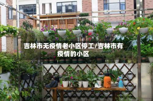 吉林市无疫情老小区停工/吉林市有疫情的小区-第2张图片