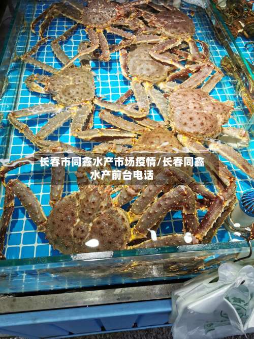 长春市同鑫水产市场疫情/长春同鑫水产前台电话-第1张图片