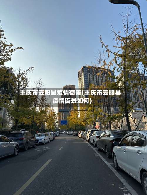 重庆市云阳县疫情街景(重庆市云阳县疫情街景如何)-第2张图片