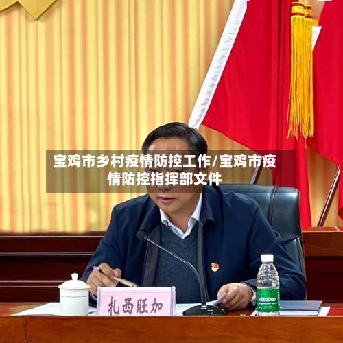 宝鸡市乡村疫情防控工作/宝鸡市疫情防控指挥部文件-第2张图片