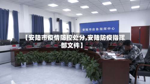 【安陆市疫情防控处分,安陆防疫指挥部文件】-第2张图片