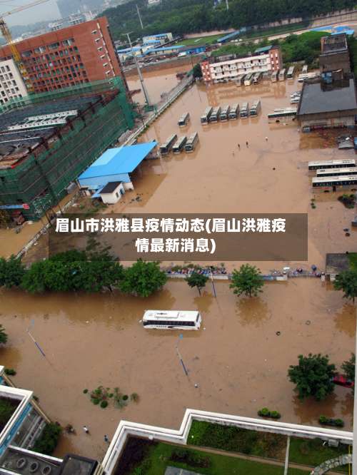 眉山市洪雅县疫情动态(眉山洪雅疫情最新消息)-第3张图片