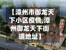 【漳州市御龙天下小区疫情,漳州御龙天下街道地址】-第1张图片