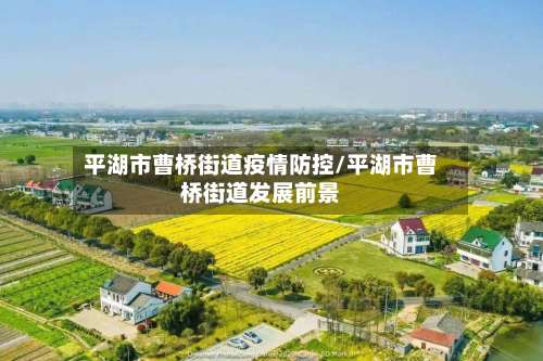 平湖市曹桥街道疫情防控/平湖市曹桥街道发展前景-第3张图片